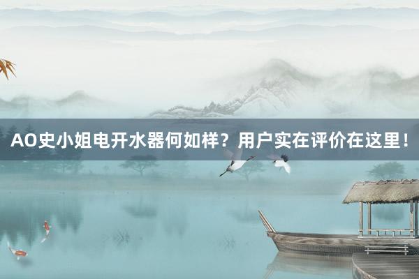 AO史小姐电开水器何如样？用户实在评价在这里！